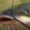 Arthraki's icon