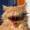 WinstonSmutty84's icon