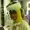 bapp907's icon
