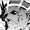 FlavorSpruce's icon