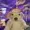 killedlizard's icon