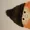NotLeLee's icon