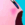 Kirbyfemur
