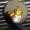 TheBrassDivision's icon