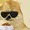Limonman's icon