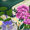 scottwjsm's icon