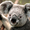 pluisje1234's icon