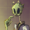 leakyduck's icon