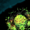 Daru925's icon
