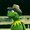 MatthewLopz's icon