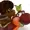 Modeerfwon's icon