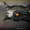 ExoProxcell-7's icon