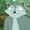 TophXOmi's icon