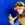 CJspellsfish