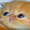 SpookyDude's icon