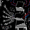 PEEMSTER's icon