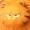 FlamingKactus's icon