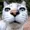 davidthedood's icon