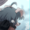 CelesteJA's icon