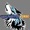 WolfZenkaiRider2021's icon