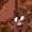 RawkiMtn's icon