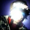 ehbehceh's icon