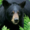 xxDavidDark2009xx's icon